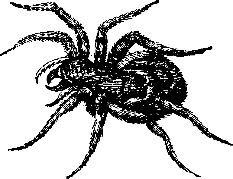 021/021910070402290_0.png