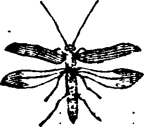 021/021910070402340_0.png