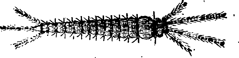 021/021910070402350_0.png