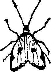 021/021910070402630_0.png