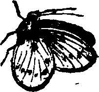 021/021910070500110_0.png
