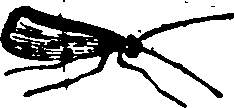 021/021910070500150_0.png