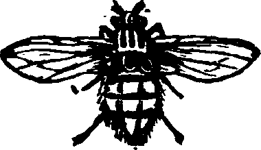 021/021910070500200_0.png