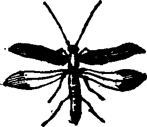 021/021910070500240_0.png
