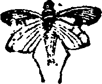 021/021910070500410_0.png