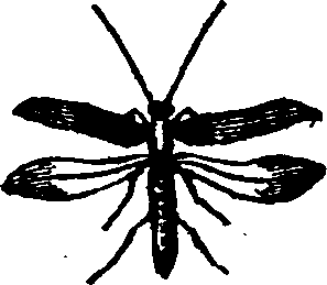 021/021910070500470_0.png
