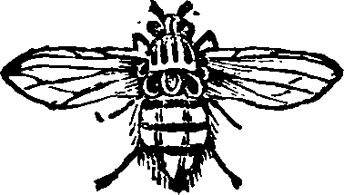 021/021910070500590_0.png