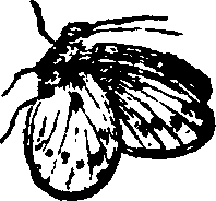021/021910070500710_0.png