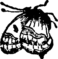 021/021910070500750_0.png