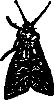 021/021910070500830_0.png