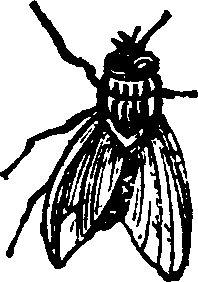 021/021910070500890_0.png