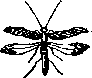 021/021910070500960_0.png