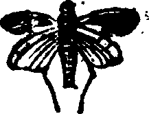 021/021910070501060_0.png