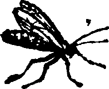 021/021910070501130_0.png