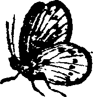 021/021910070501180_0.png
