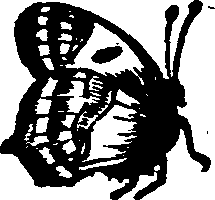 021/021910070501220_0.png