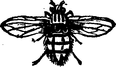 021/021910070501310_0.png