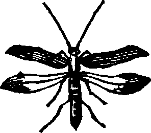 021/021910070501400_0.png