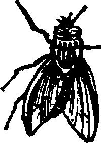 021/021910070501510_0.png