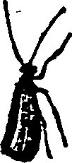 021/021910070501530_0.png