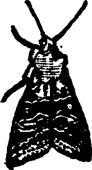021/021910070501590_0.png