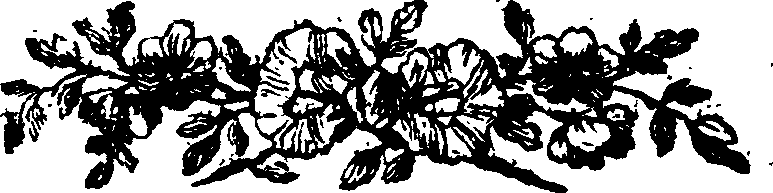 021/021910070501610_0.png