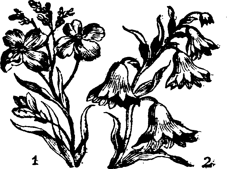 021/021910070501860_0.png