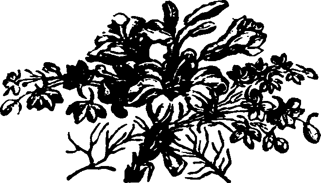 021/021910070501920_0.png