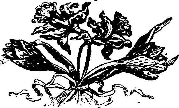 021/021910070501940_0.png