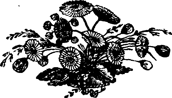 021/021910070502090_0.png