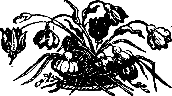 021/021910070502110_0.png