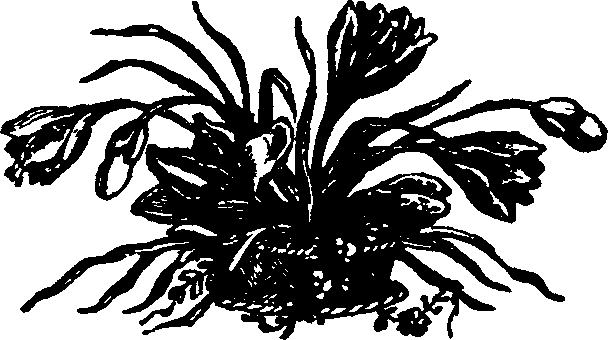 021/021910070502150_0.png