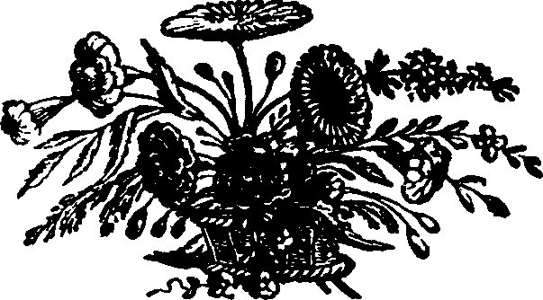 021/021910070502170_0.png