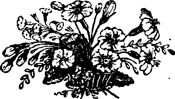 021/021910070502190_0.png