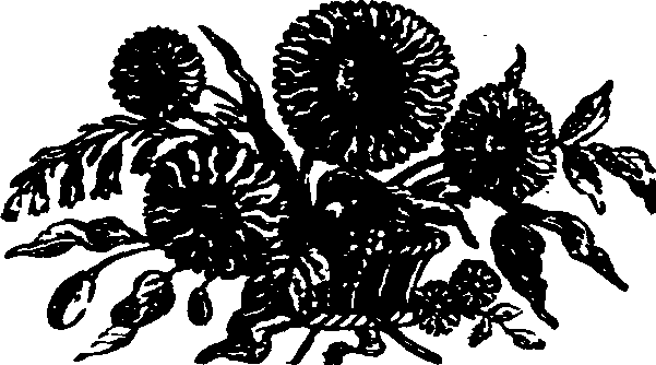 021/021910070502220_0.png