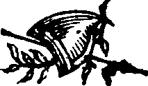 021/021910070502250_0.png