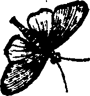 021/021910070502310_0.png