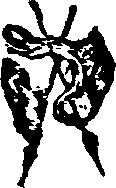 021/021910070502320_0.png