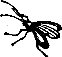 021/021910070502350_0.png
