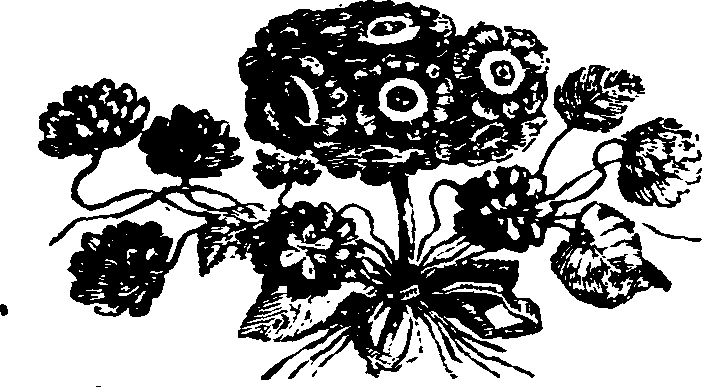 021/021910070502360_0.png