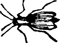 021/021910070502380_0.png
