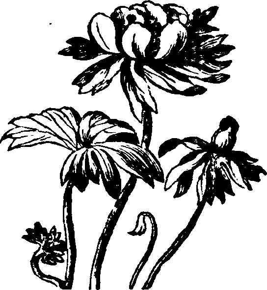 021/021910070502390_0.png