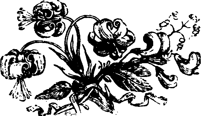021/021910070502470_0.png