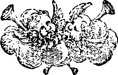 022/022070200000820_0.png