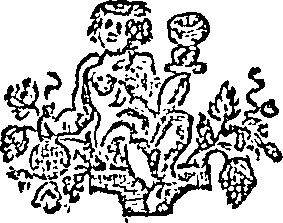 022/022370040000220_0.png