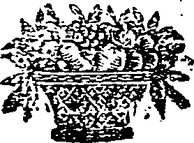 022/022410030000870_0.png
