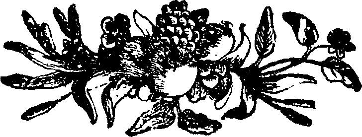022/022580090101640_0.png