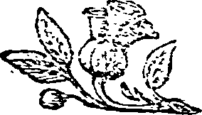 022/022760120001170_0.png