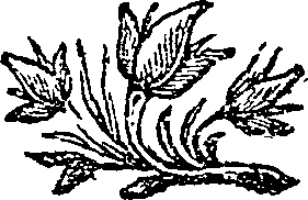 022/022760120002190_1.png