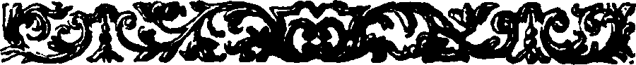 022/022820030202420_1.png